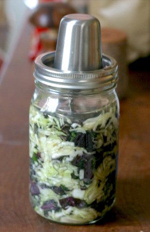 Purple Kale, Cabbage & Fennel Ferment