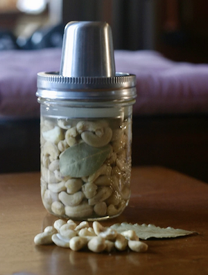 Pickle Flavored Cashew Spread